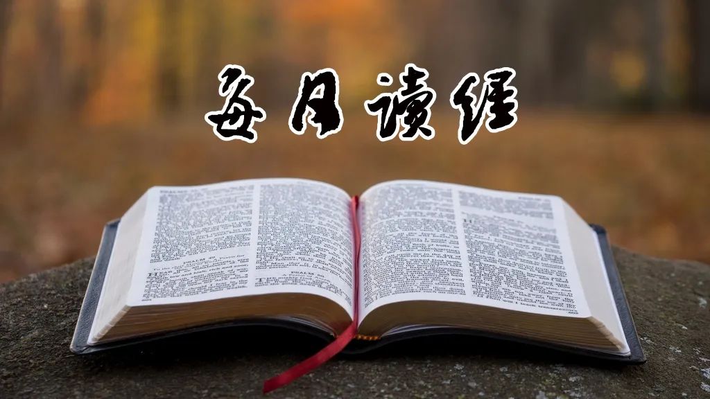 灵修丨每日读经(143):“连一个人也没有存留” - 深圳市白石洲堂 官网